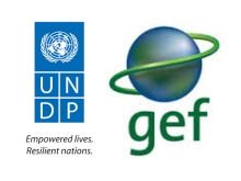 UNDP-GEF青海項目技術(shù)咨詢服務(wù)公開招標(biāo)公告